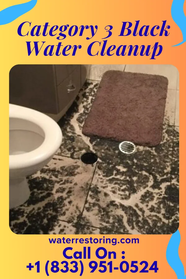 Category 3 Black Water Cleanup in Geneva, GA