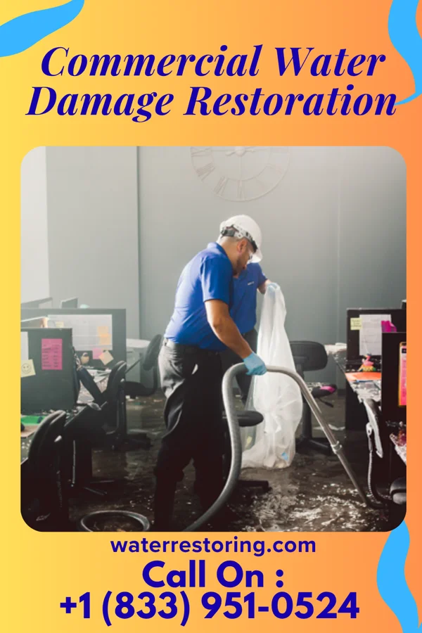 Commercial Water Damage Restoration in Geneva, GA